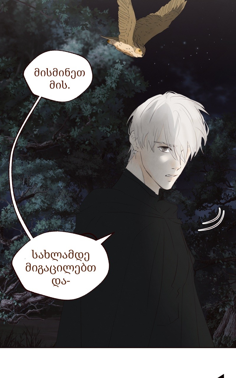 Page (51)